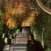 ヒメ日記 2025/12/14 20:56 投稿 まきこ 奥様の実話 梅田店