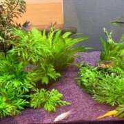 ヒメ日記 2025/12/15 09:15 投稿 まきこ 奥様の実話 梅田店