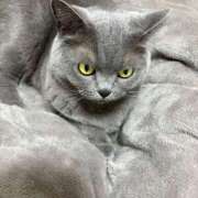 ヒメ日記 2025/12/17 22:12 投稿 まきこ 奥様の実話 梅田店