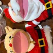 ヒメ日記 2025/12/18 15:13 投稿 まきこ 奥様の実話 梅田店