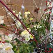 ヒメ日記 2025/12/19 09:30 投稿 まきこ 奥様の実話 梅田店