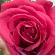 ヒメ日記 2025/12/19 21:41 投稿 まきこ 奥様の実話 梅田店