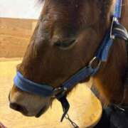 ヒメ日記 2025/12/21 05:59 投稿 まきこ 奥様の実話 梅田店