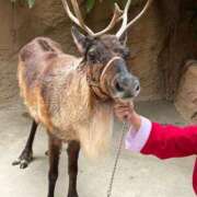 ヒメ日記 2025/12/25 22:21 投稿 まきこ 奥様の実話 梅田店