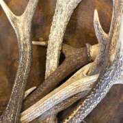 ヒメ日記 2025/12/26 09:01 投稿 まきこ 奥様の実話 梅田店