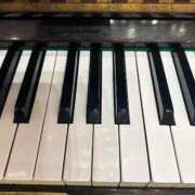 ヒメ日記 2025/12/30 19:41 投稿 まきこ 奥様の実話 梅田店