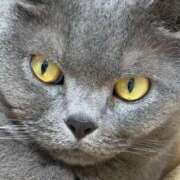 ヒメ日記 2026/01/12 22:08 投稿 まきこ 奥様の実話 梅田店