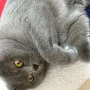 ヒメ日記 2026/01/14 20:10 投稿 まきこ 奥様の実話 梅田店