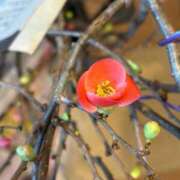 ヒメ日記 2026/01/16 10:30 投稿 まきこ 奥様の実話 梅田店