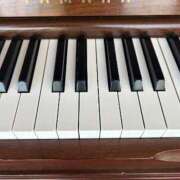 ヒメ日記 2026/01/16 21:34 投稿 まきこ 奥様の実話 梅田店