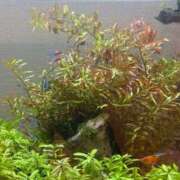 ヒメ日記 2026/01/23 14:15 投稿 まきこ 奥様の実話 梅田店