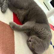 ヒメ日記 2026/02/16 19:53 投稿 まきこ 奥様の実話 梅田店