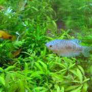 ヒメ日記 2026/02/18 14:15 投稿 まきこ 奥様の実話 梅田店