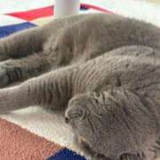 ヒメ日記 2026/02/25 00:08 投稿 まきこ 奥様の実話 梅田店