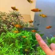 ヒメ日記 2026/02/26 09:15 投稿 まきこ 奥様の実話 梅田店