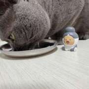 ヒメ日記 2026/02/27 20:43 投稿 まきこ 奥様の実話 梅田店