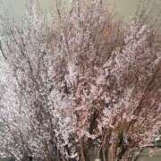 まきこ こんばんは😊💕 奥様の実話 梅田店