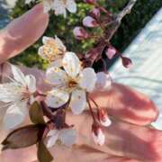 ヒメ日記 2026/03/13 08:45 投稿 まきこ 奥様の実話 梅田店