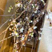 ヒメ日記 2026/03/18 10:00 投稿 まきこ 奥様の実話 梅田店