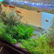 ヒメ日記 2026/03/18 17:37 投稿 まきこ 奥様の実話 梅田店