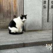 ヒメ日記 2026/03/20 18:07 投稿 まきこ 奥様の実話 梅田店