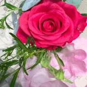 ヒメ日記 2026/03/20 20:12 投稿 まきこ 奥様の実話 梅田店