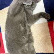 ヒメ日記 2026/03/20 23:47 投稿 まきこ 奥様の実話 梅田店