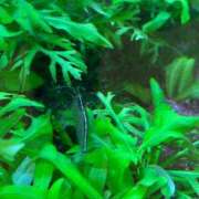 ヒメ日記 2026/04/01 09:00 投稿 まきこ 奥様の実話 梅田店