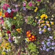 ヒメ日記 2026/04/01 15:30 投稿 まきこ 奥様の実話 梅田店