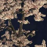 ヒメ日記 2026/04/03 20:01 投稿 まきこ 奥様の実話 梅田店