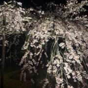 ヒメ日記 2026/04/06 07:46 投稿 まきこ 奥様の実話 梅田店