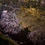 ヒメ日記 2026/04/06 07:52 投稿 まきこ 奥様の実話 梅田店