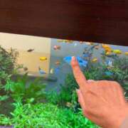 ヒメ日記 2026/04/06 09:52 投稿 まきこ 奥様の実話 梅田店