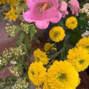 ヒメ日記 2026/04/10 09:15 投稿 まきこ 奥様の実話 梅田店