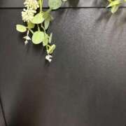 ヒメ日記 2026/04/10 10:30 投稿 まきこ 奥様の実話 梅田店