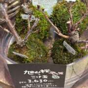 ヒメ日記 2026/04/10 18:45 投稿 まきこ 奥様の実話 梅田店