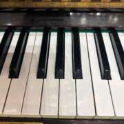 ヒメ日記 2026/04/24 16:00 投稿 まきこ 奥様の実話 梅田店