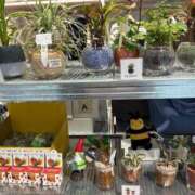 ヒメ日記 2026/05/11 19:01 投稿 まきこ 奥様の実話 梅田店