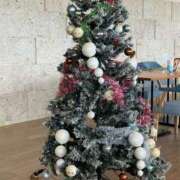 ヒメ日記 2024/12/25 08:21 投稿 上原 あかり HANA-okinawa-