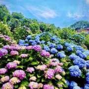 ヒメ日記 2025/06/30 19:06 投稿 上原 あかり HANA-okinawa-