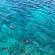 ヒメ日記 2025/08/27 18:48 投稿 上原 あかり HANA-okinawa-