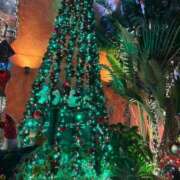 ヒメ日記 2025/12/02 08:24 投稿 上原 あかり HANA-okinawa-