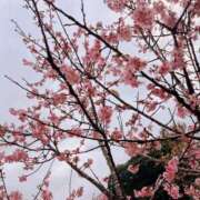 ヒメ日記 2026/02/03 16:48 投稿 上原 あかり HANA-okinawa-