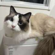 ヒメ日記 2025/05/16 15:42 投稿 クロエ ビギナーズ神戸