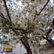 ヒメ日記 2026/03/28 11:04 投稿 真冬（まふゆ） 人妻城 横浜本店