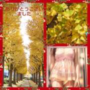 ヒメ日記 2024/12/12 23:52 投稿 さやか 熟女デリヘル秘宝館Z