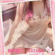 ヒメ日記 2025/03/13 09:46 投稿 さやか 熟女デリヘル秘宝館Z