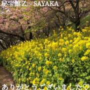 ヒメ日記 2025/04/04 19:10 投稿 さやか 熟女デリヘル秘宝館Z