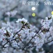 ヒメ日記 2025/04/06 14:41 投稿 さやか 熟女デリヘル秘宝館Z