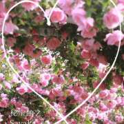 ヒメ日記 2025/05/16 11:24 投稿 さやか 熟女デリヘル秘宝館Z